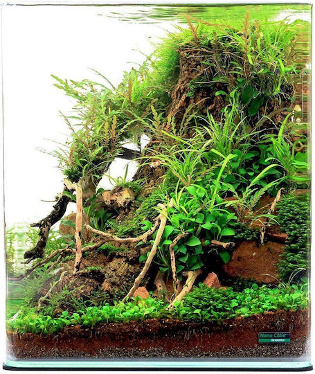 Dennerle Nano Cube Fish Aquarium Capacity 30lt with 30x30x35cm
