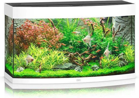 Juwel Vision 180 LED Acvariu de Pești cu Capacitate de 180lt cu Iluminare, Încălzitor, Circulator, Filtru și 92x41x55cm. Alb