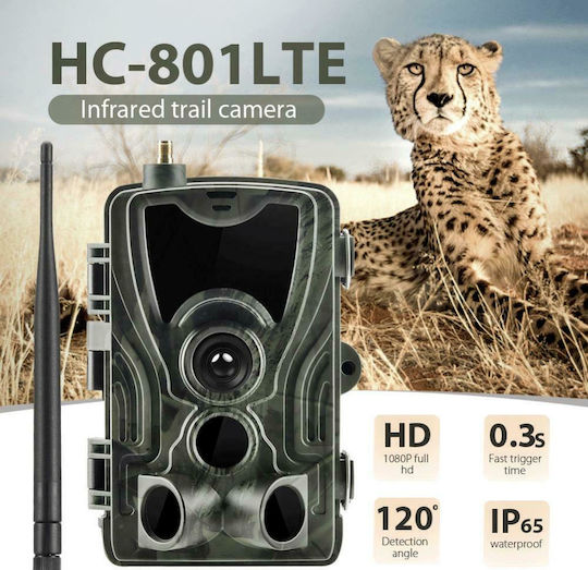 Suntek Waterproof Hunting Camera Night Vision with Motion Detection