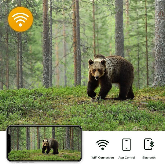 Suntek Waterproof Hunting Camera Night Vision with Motion Detection