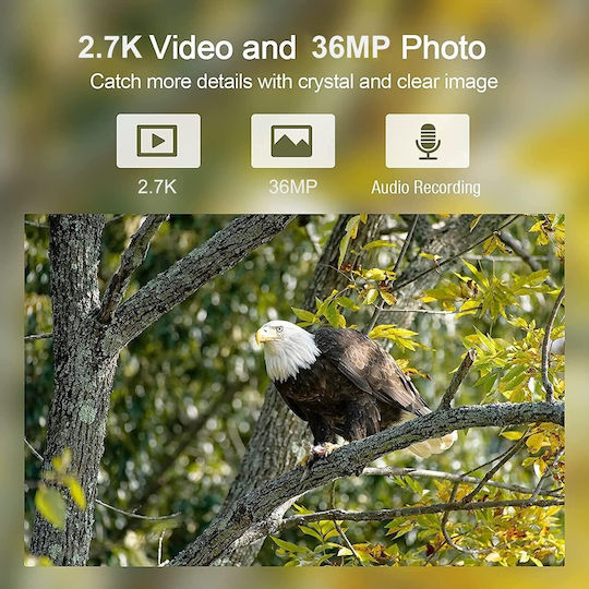 Suntek Waterproof Hunting Camera Night Vision with Motion Detection