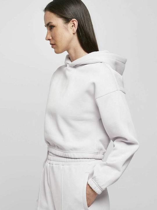 Gekürzt Damen Sweatshirt Kapuzen Gray