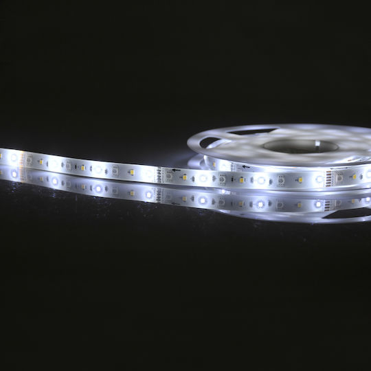 Polux Waterproof Smart LED Strip Wi-Fi 220V RGBW Light 2m with Power Supply & WiFi Controller