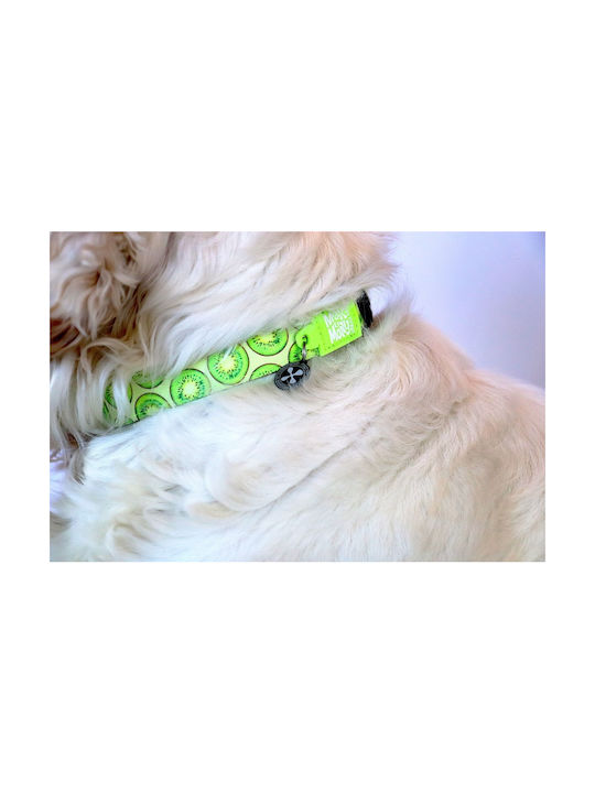 Max & Molly Kiwi Κολάρο Large 25mm x 39 - 62cm Max & Molly Kiwi Κολάρο Large 25mm x 39 - 62cm