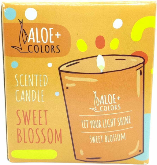 Aloe Colors Aromatic Candle Sweet Blossom in Jar with Vanilla/Orange Scent 220g
