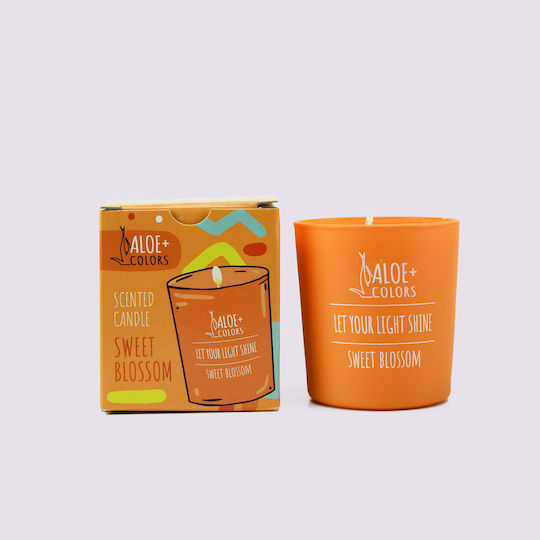 Aloe Colors Pure Serenity Αρωματικό Σόγιας σε Βάζο Aloe Colors Pure Serenity Αρωματικό Σόγιας σε Βάζο