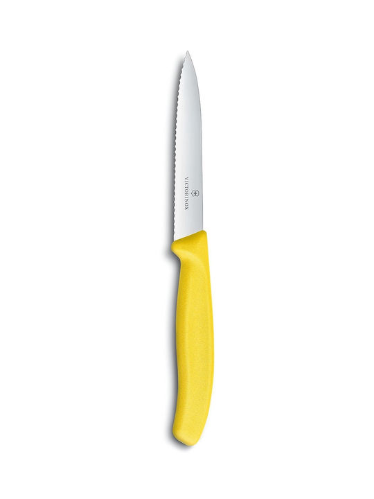 Victorinox Swiss Classic Knife General Use from Stainless Steel 10cm