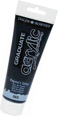 Daler Rowney Graduate Acrylic Acrylic Paint Set in Schwarz color Payne's Grau 120 120ml 1Stück 123120065