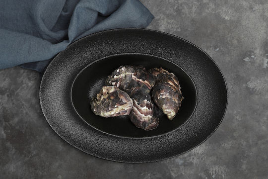 Maxwell & Williams Caviar Πιατέλα Σερβιρίσματος Οβάλ από Πορσελάνη Black 35x25εκ.