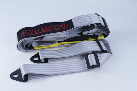 Autolegend 4 Point Seat Belt Grey in Gray Color