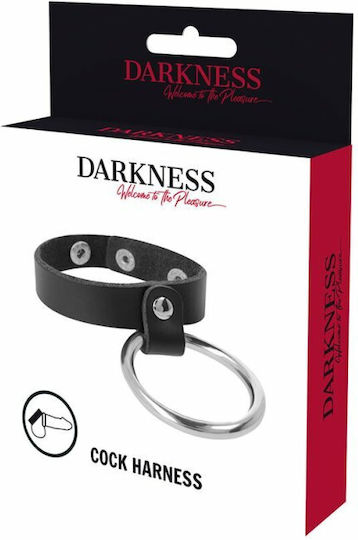 Darkness Cock Harness Metal Ring For The Penis & Testicles