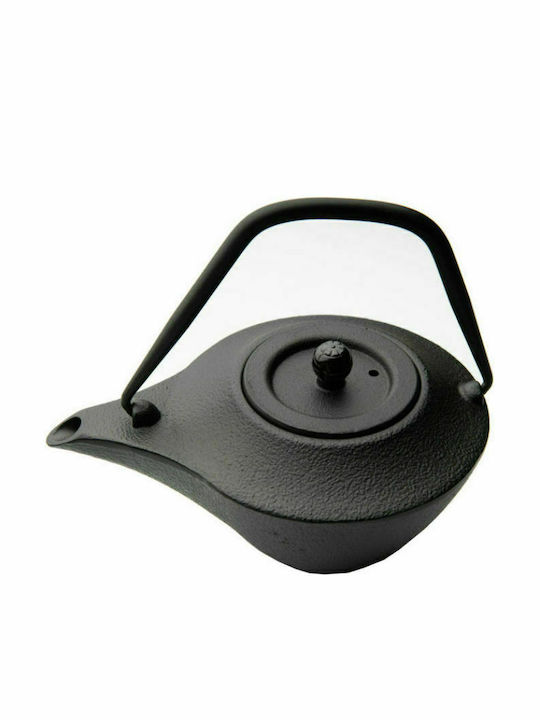 Dinox Teapot with Filter Cast Iron Black 500ml