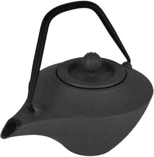 Dinox Ceainic cu Filtru Din fontă Negru 500ml