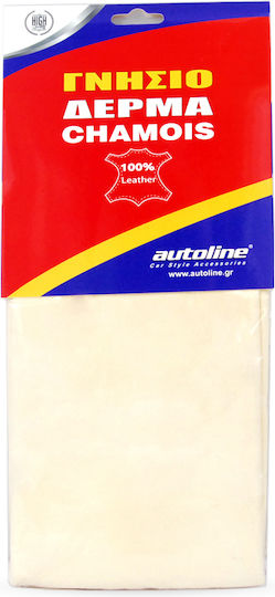 Autoline Δέρμα Καθαρισμού Αυτοκινήτου 50x50cm