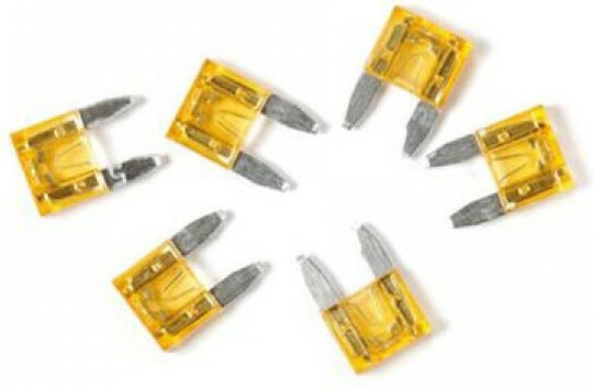 Lampa Smart-Led MicroBlade Indicator Fuses 12/32V 5A Set Siguranțe Auto Lamelare 6buc