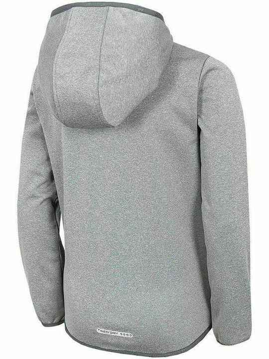 4F Boys Athleisure Hooded Sweatshirt with Zipper Gray