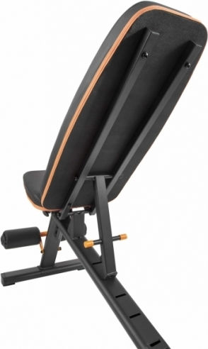AMILA AWB550 Adjustable Workout Bench