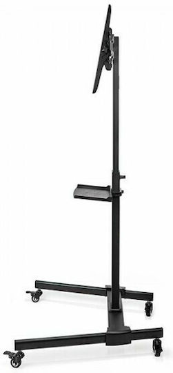 Nedis TVSM5100BK TV Mount Floor up to 55" and 35kg