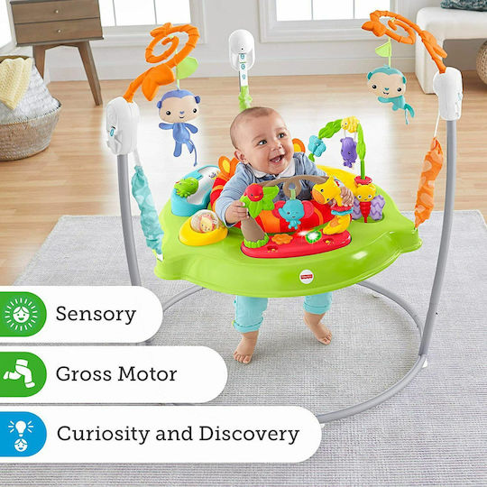 Fisher Price Baby Jumper Jumperoo Λιονταράκι με Μουσική για 6+ Μηνών