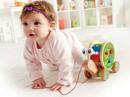 Hape Παιχνίδι Ταξινόμησης Σχημάτων Συρόμενο Σαλιγκάρι από Ξύλο για 12+ Μηνών