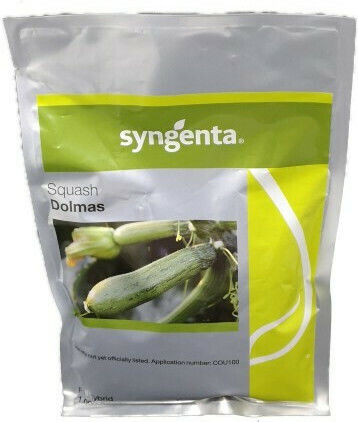 Syngenta Dolmas Seeds Pumpkinς Zucchini 1000pcs