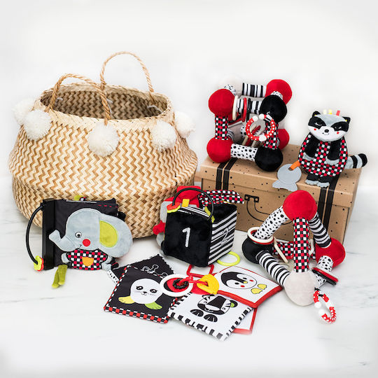 Babyono Baby-Windeln Racoon Felix Bunt