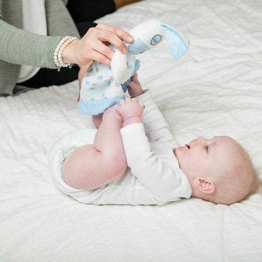 Lulujo Baby Cloth Puppy Blue