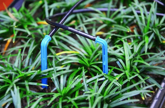Palaplast 3113-0004 Stakes Hydroponics 30° 4mm Blue