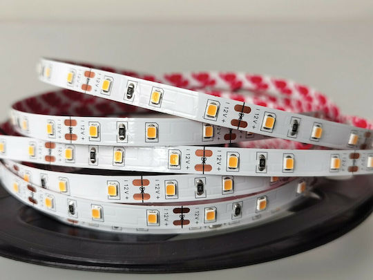 VK Lighting LED Strip 12V Orange Light 5m Type SMD2835