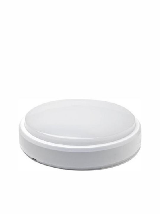Geyer Wandmontierte Außen-Deckenleuchte LED IP40 12W mit Natürliches Weiß Licht 22x5.05εκ.