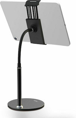 XO C79 Desk Stand for Mobile Phone in Black Colour