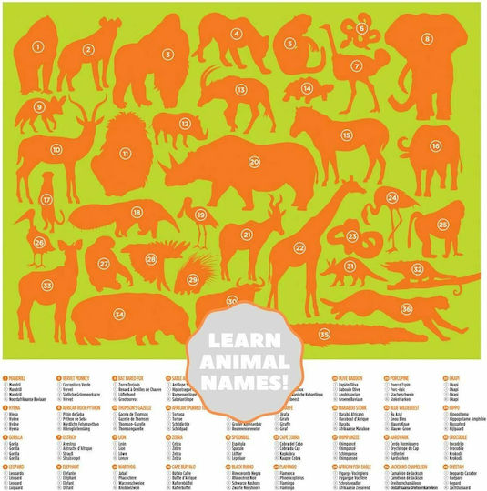 Kids Puzzle Jungle Animals for 5+ years+ Years 100pcs Crocodile Creek