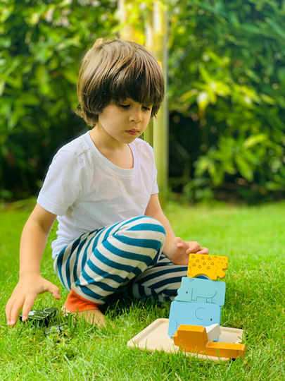 Ξύλινο Παιδικό Puzzle Σφηνώματα Ζωάκια για 2+ Ετών 7pcs Plan Toys
