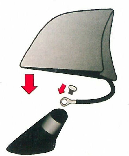 Americat Car Antenna Roof Carbon Shark for Radio in Black Carbon Color