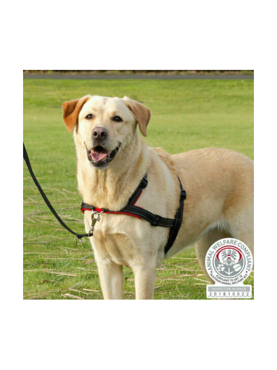 Trixie Lead'n'Walk Soft Trixie Lead'n'Walk Soft