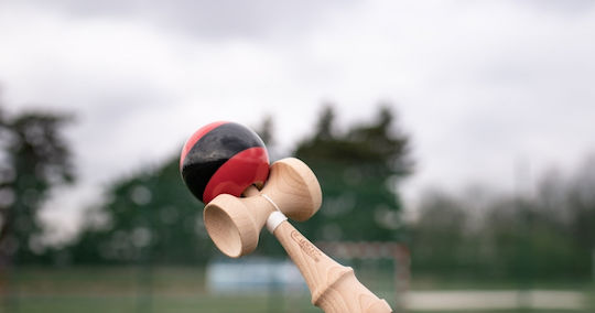 Factory Кендама Kendama Catchy Standard