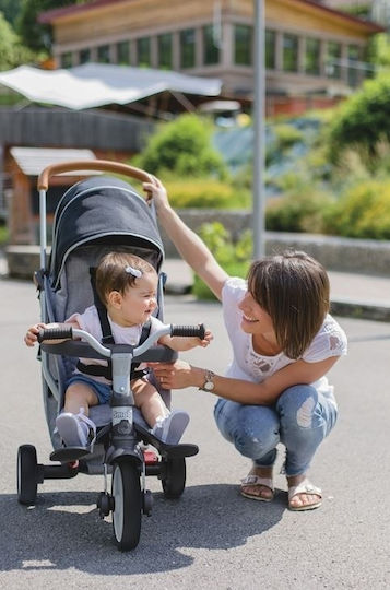 Smoby Robin Foldable and Convertible 3 in 1 for 6 Months Gray