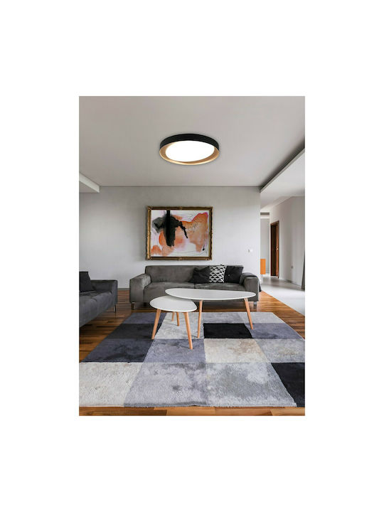 Trio Lighting Zeta Ceiling Light 48.5cm LED with Remote Control Trio Lighting Zeta Ceiling Light 48.5cm LED with Remote Control