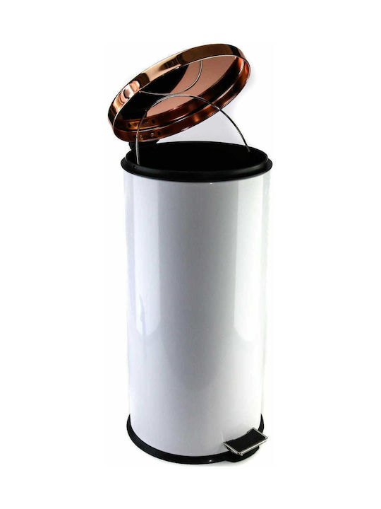 Viosarp Waste Bin Waste Metallic with Pedal White 30lt 1pcs
