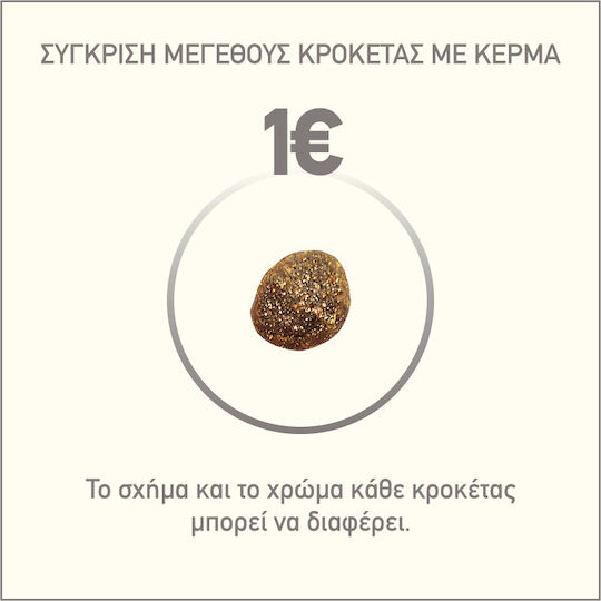 Orijen Regional Red Ξηρά Τροφή Διαίτης, χωρίς Σιτηρά & Γλουτένη για Ενήλικες Γάτες με Βοδινό 1.8kg