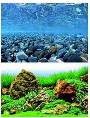 Wave Double Background Vision Blister with Aquaview Aquarium Decoration Poster