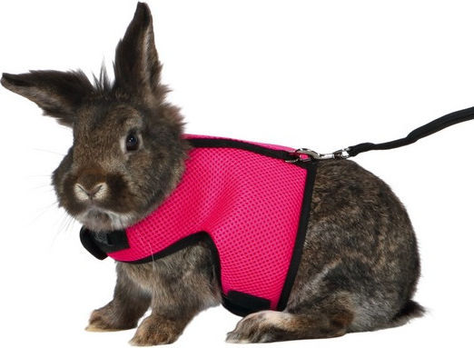 Trixie Wheel for Hamster Soft Harness with Leash for Rodents 12-18cm/1.20m