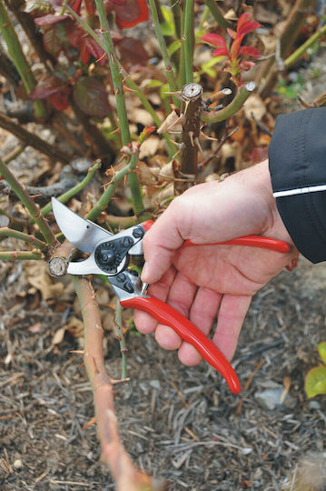 Felco 11 Baumschere Länge 21cm mit Maximalem Schnittdurchmesser 25mm
