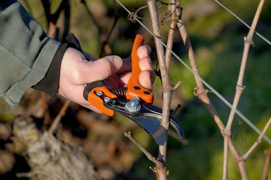 Bahco PX-M3 Baumschere Länge 28cm mit Maximalem Schnittdurchmesser 30mm