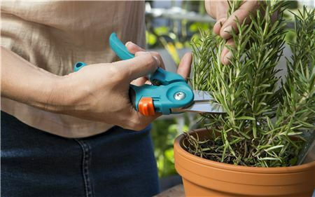 Gardena Ψαλίδι Κλαδέματος Μήκους 20cm με Μέγιστη Διάμετρο Κοπής 22mm