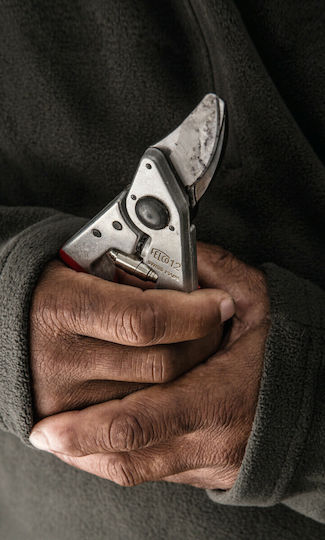 Felco 12 Pruning Shears Length 20cm with Maximum Cutting Diameter 20mm