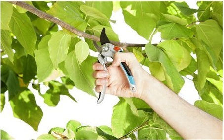 Gardena Comfort Ножица за подрязване с Максимален Диаметър на Рязане 25мм