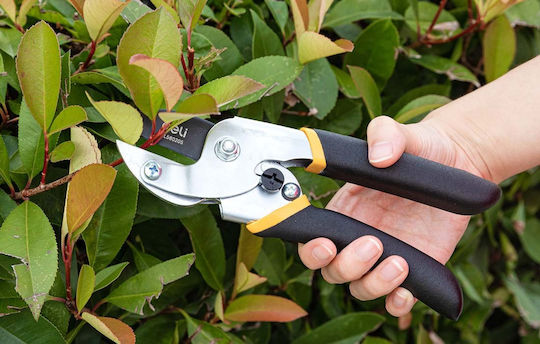 Deli Baumschere Typ Bypass-Schere Länge 20cm mit Maximalem Schnittdurchmesser 15mm