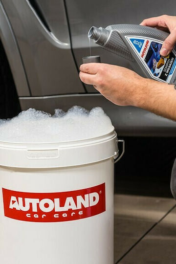 Autoland Shampoo with Wax Σαμπουάν Πλυσίματος Αυτοκινήτου Ενεργού Αφρού με Κερί 950ml