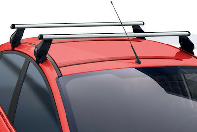 Menabo 130cm. for Cars with Factory Bars (with Roof Rack Legs) Silver